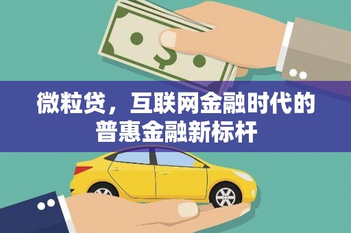 张家港微粒贷，互联网金融时代的普惠金融新标杆