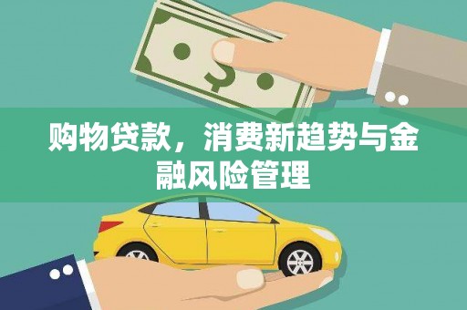 张家港购物贷款，消费新趋势与金融风险管理