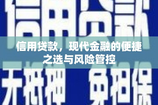 张家港信用贷款，现代金融的便捷之选与风险管控