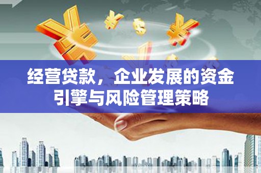 张家港经营贷款，企业发展的资金引擎与风险管理策略