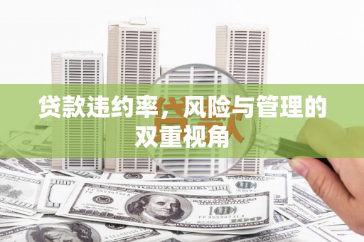 张家港贷款违约率，风险与管理的双重视角