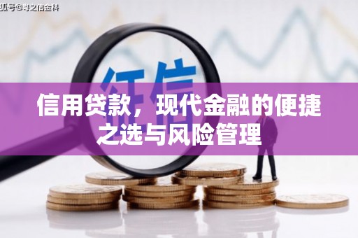张家港信用贷款，现代金融的便捷之选与风险管理