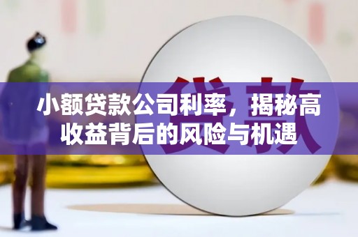张家港小额贷款公司利率，揭秘高收益背后的风险与机遇