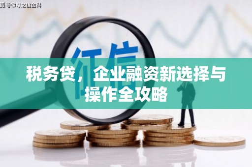 张家港税务贷，企业融资新选择与操作全攻略