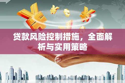 张家港贷款风险控制措施，全面解析与实用策略