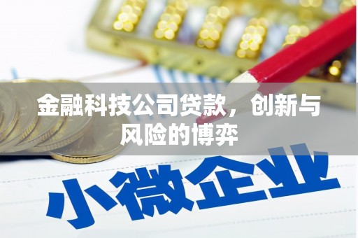 张家港金融科技公司贷款，创新与风险的博弈