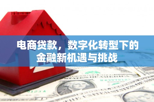 张家港电商贷款，数字化转型下的金融新机遇与挑战