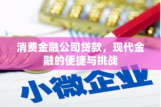 张家港消费金融公司贷款，现代金融的便捷与挑战