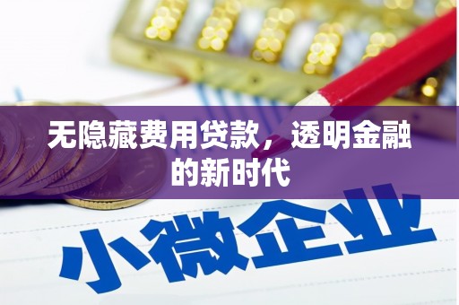 张家港无隐藏费用贷款，透明金融的新时代