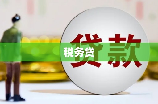 张家港税务贷