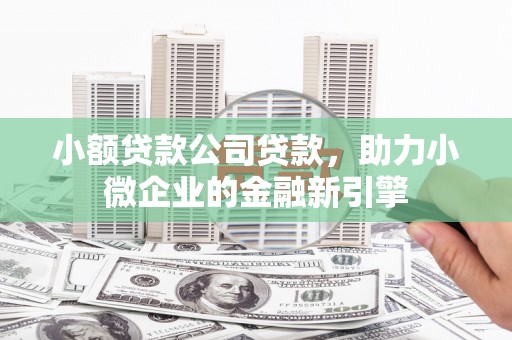 张家港小额贷款公司贷款，助力小微企业的金融新引擎