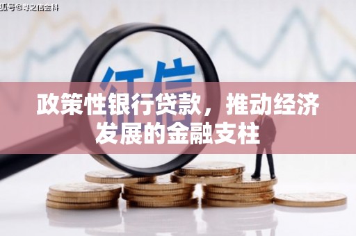 张家港政策性银行贷款，推动经济发展的金融支柱