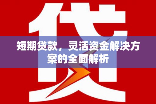 张家港短期贷款，灵活资金解决方案的全面解析