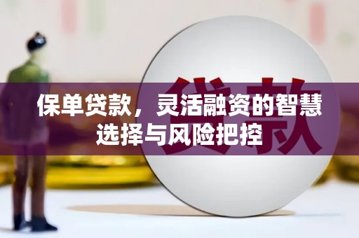 张家港保单贷款，灵活融资的智慧选择与风险把控