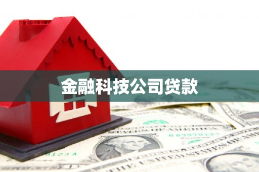张家港金融科技公司贷款