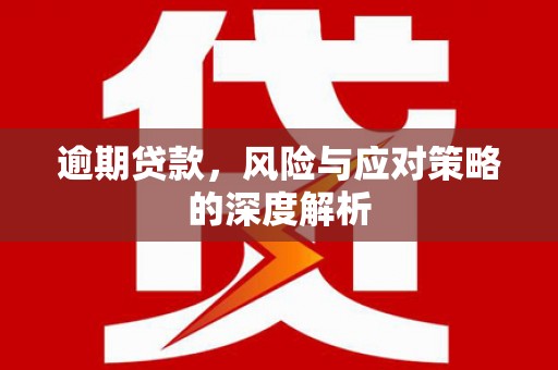 张家港逾期贷款，风险与应对策略的深度解析