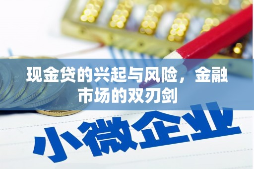 张家港现金贷的兴起与风险，金融市场的双刃剑