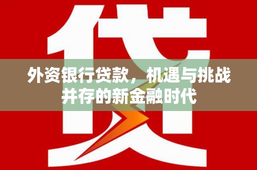张家港外资银行贷款，机遇与挑战并存的新金融时代