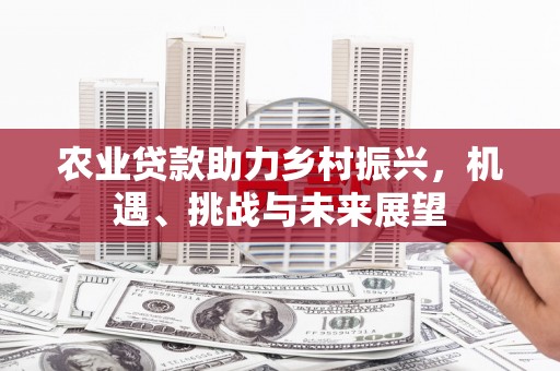 张家港农业贷款助力乡村振兴，机遇、挑战与未来展望