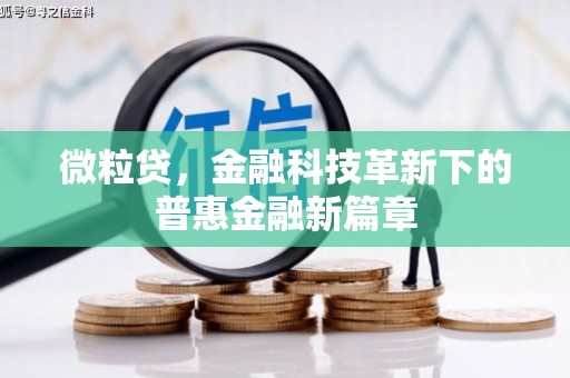 张家港微粒贷，金融科技革新下的普惠金融新篇章
