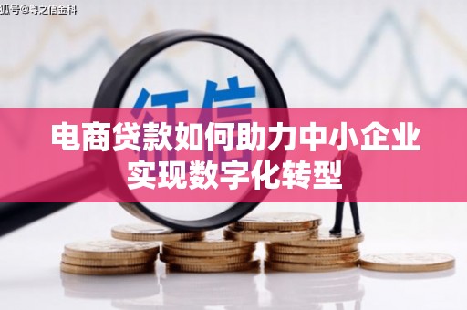 张家港电商贷款如何助力中小企业实现数字化转型