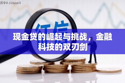 张家港现金贷的崛起与挑战，金融科技的双刃剑
