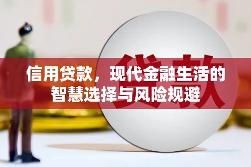 张家港信用贷款，现代金融生活的智慧选择与风险规避