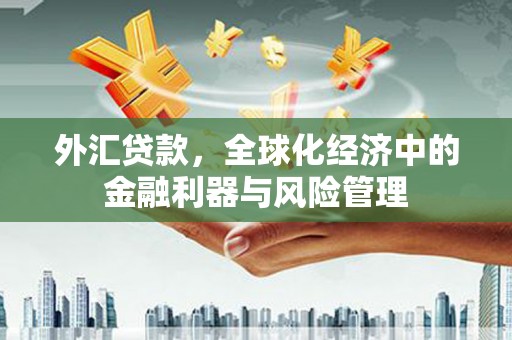 张家港外汇贷款，全球化经济中的金融利器与风险管理