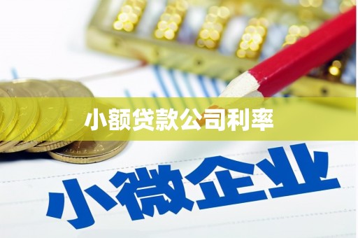 张家港小额贷款公司利率