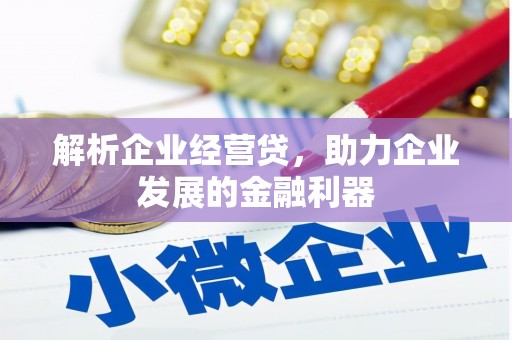 张家港解析企业经营贷，助力企业发展的金融利器