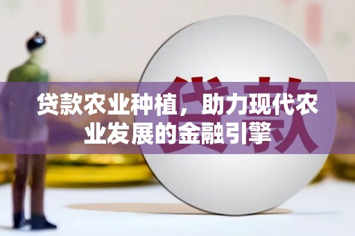 张家港贷款农业种植，助力现代农业发展的金融引擎