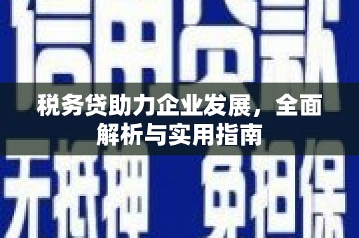 张家港税务贷助力企业发展，全面解析与实用指南