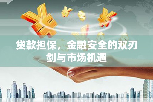 张家港贷款担保，金融安全的双刃剑与市场机遇