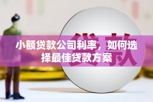 张家港小额贷款公司利率，如何选择最佳贷款方案