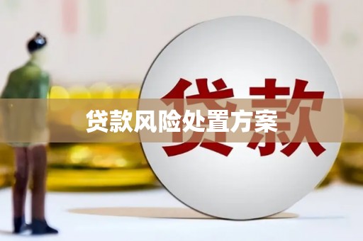 张家港贷款风险处置方案