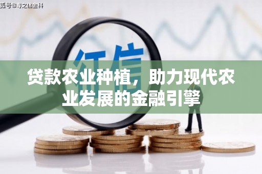 张家港贷款农业种植，助力现代农业发展的金融引擎