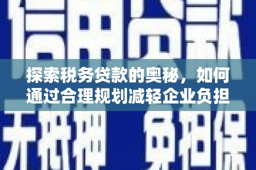 张家港探索税务贷款的奥秘，如何通过合理规划减轻企业负担