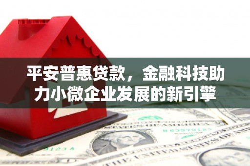 张家港平安普惠贷款，金融科技助力小微企业发展的新引擎