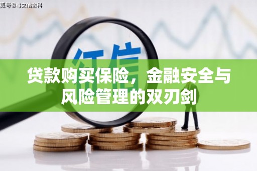 张家港贷款购买保险，金融安全与风险管理的双刃剑