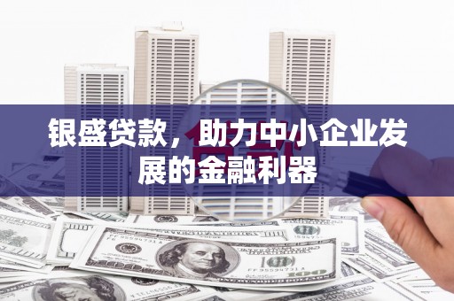 张家港银盛贷款，助力中小企业发展的金融利器