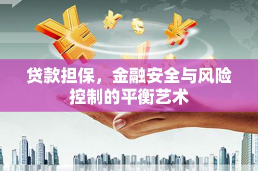 张家港贷款担保，金融安全与风险控制的平衡艺术