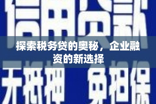 张家港探索税务贷的奥秘，企业融资的新选择