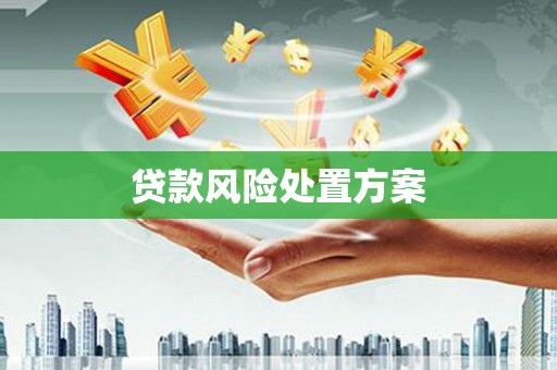 张家港贷款风险处置方案