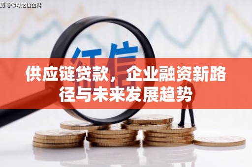 张家港供应链贷款，企业融资新路径与未来发展趋势