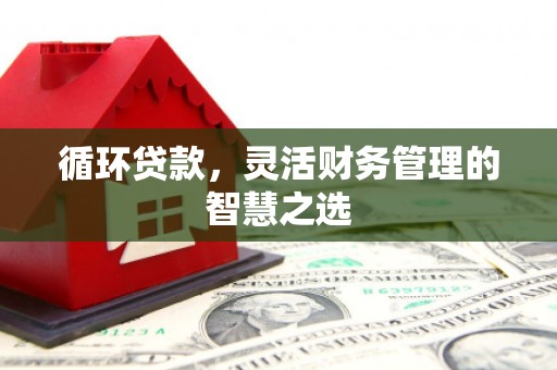 张家港循环贷款，灵活财务管理的智慧之选