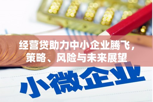 张家港经营贷助力中小企业腾飞，策略、风险与未来展望