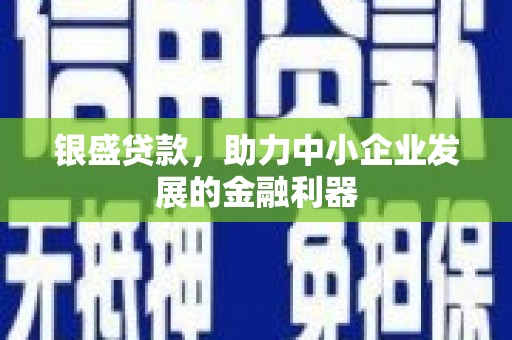 张家港银盛贷款，助力中小企业发展的金融利器