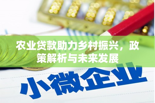 张家港农业贷款助力乡村振兴，政策解析与未来发展