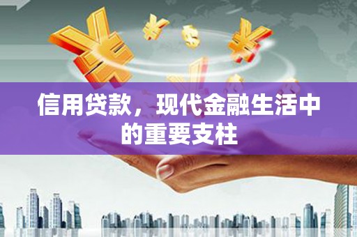 张家港信用贷款，现代金融生活中的重要支柱