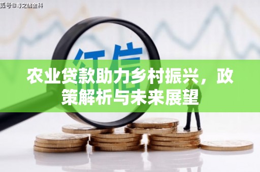 张家港农业贷款助力乡村振兴，政策解析与未来展望